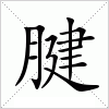 汉字 腱